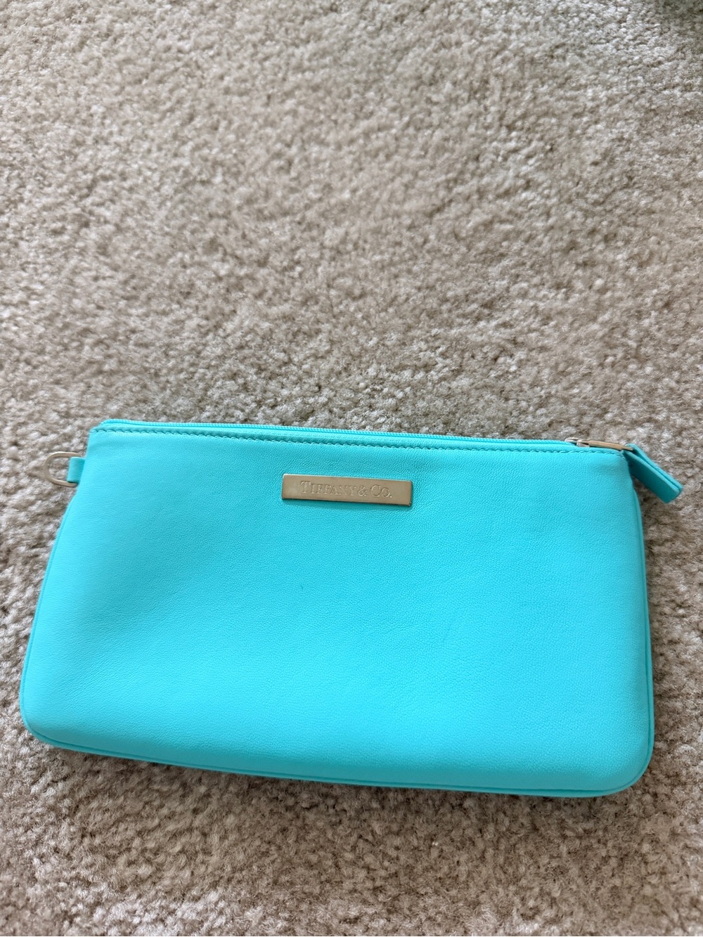Tiffany & Co. Aqua Zip Cosmetic Pouch with Gold Plaque